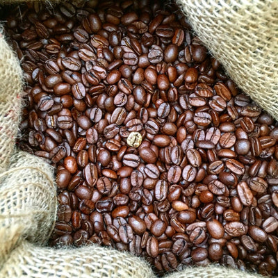 What You Need to Know About Bean to Cup Machines
