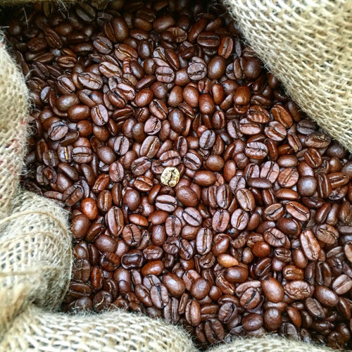 What You Need to Know About Bean to Cup Machines